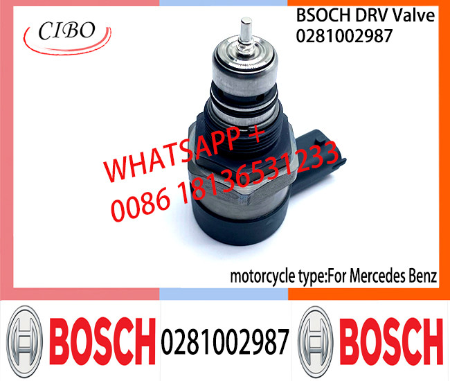 BOSCH DRV Valve 0281002987 Control Valve 0281002987 for BENZ