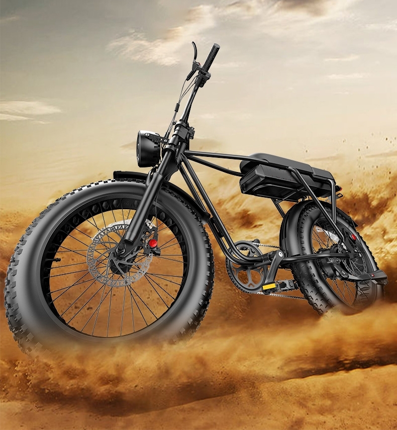 Max Speed 30-50Km/h Disc Brake Electric Fat Tire Bike 48V 400W Motor Ebike