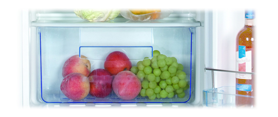 BCD-175 SINGLE DOOR REFRIGERATOR