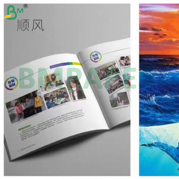 240gsm Inkjet  High Glossy Photo Paper Roll Sheet 36 Inch * 50m Menus Dye Ink 