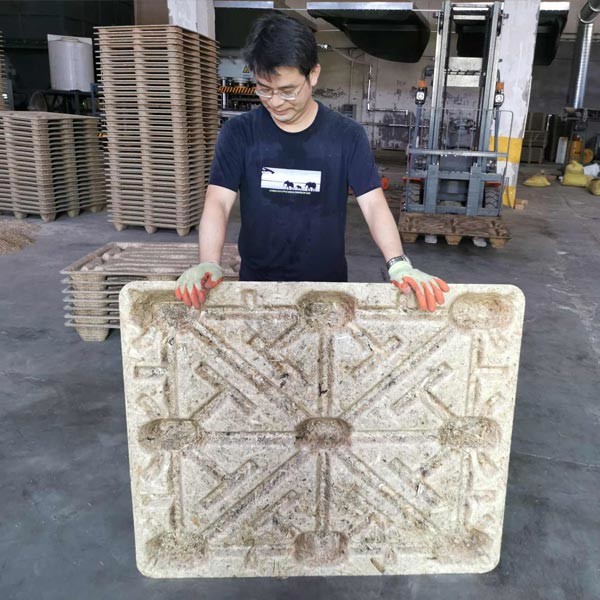 Reuse Sugar Cane Wastes Bagasse Wood Pallet Machine