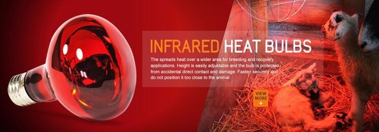 Red infrared lamp 100W 150W 175W 200W 250W 275W animal chicken pig pet therapy infrared heating bulb