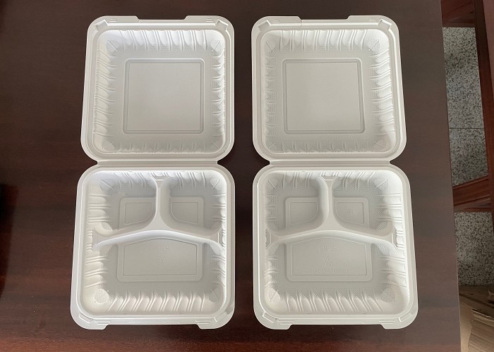 Biodegradable Take Out Disposable Food Container Box Making Machine