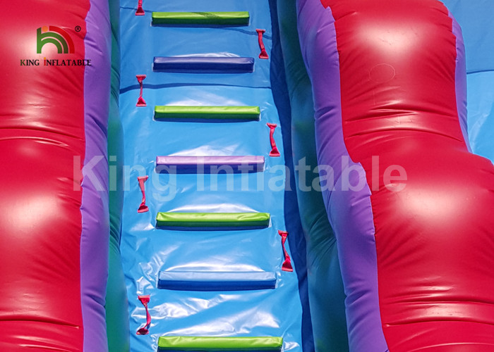 Plato PVC Double Inflatable Water Slide With Swimming Pool 1 Year Warranty