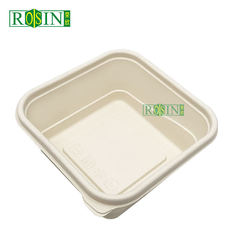 Tableware Biodegradable Take Out Containers Square Disposable With Lids