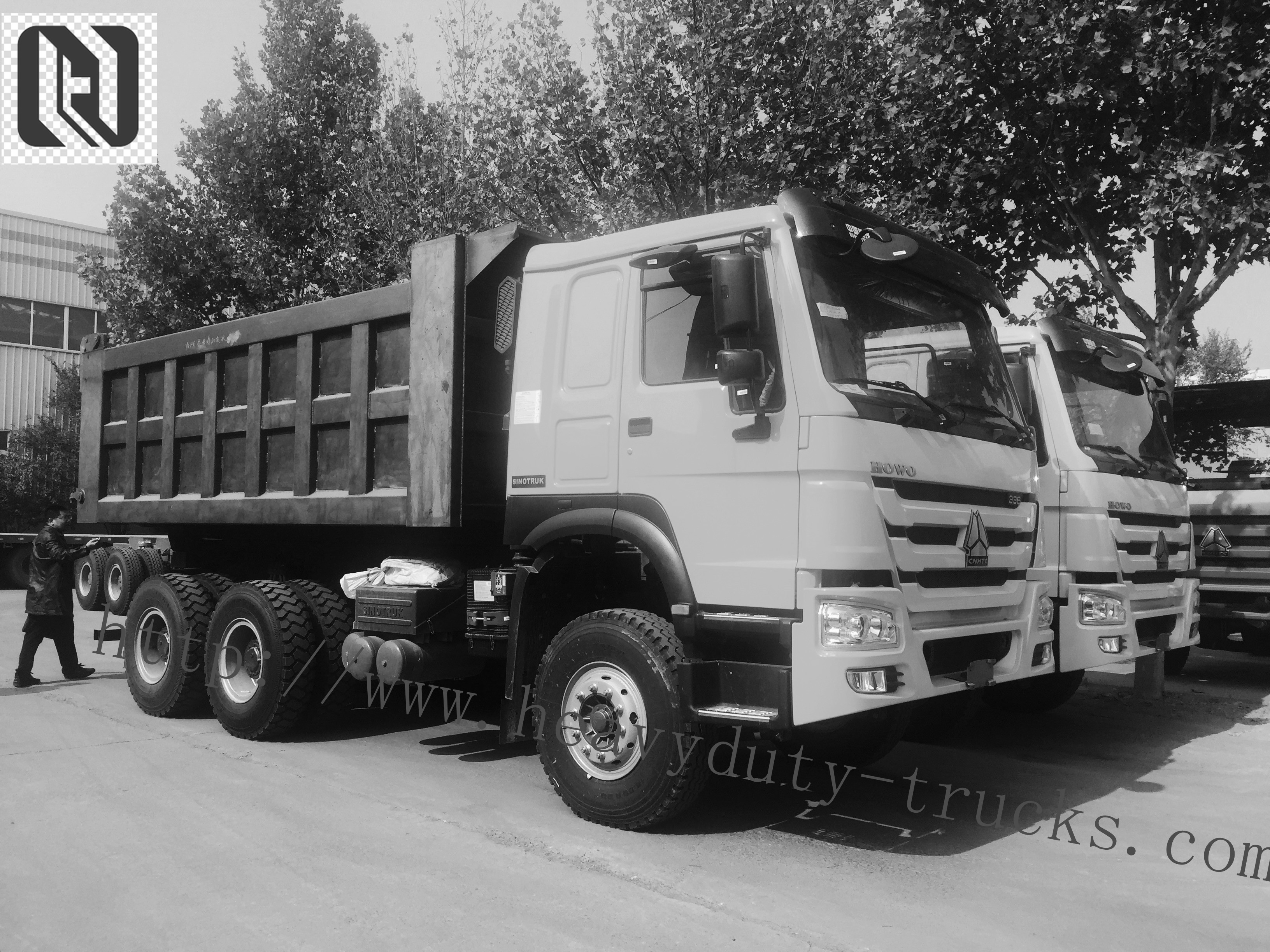 Sinotruk Howo Heavy Duty Dump Truck 6x4 8x4 / Lorry Sand Tipper Truck