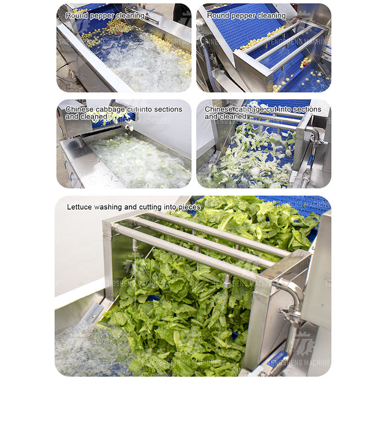 Canteens Turbidity Reduce Fruit And Vegetable Washing Machine Sediment Discharge