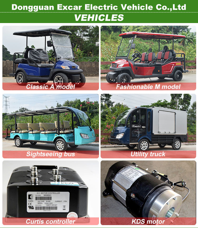 Easy Portable 2 Front Seat+2 Foldable Rear seater Elecrtic Golf Buggy Car 8