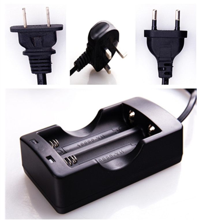 Safety 2 Bay Plug In Battery Charger With 750mm Wire 104*58*38mm Size