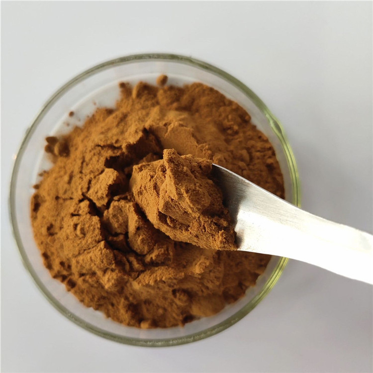 buy Hot Sale energy supplement phyllanthus emblica extract
