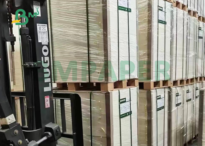 40 micron 120gsm Food Grade White Kraft Paper For Cone Cup 70mm 85mm