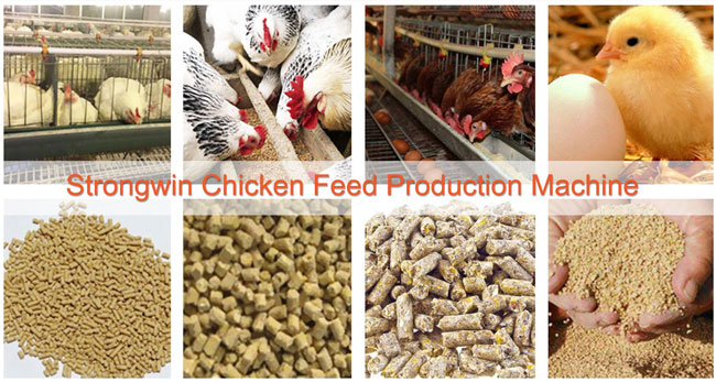 animal feed production line