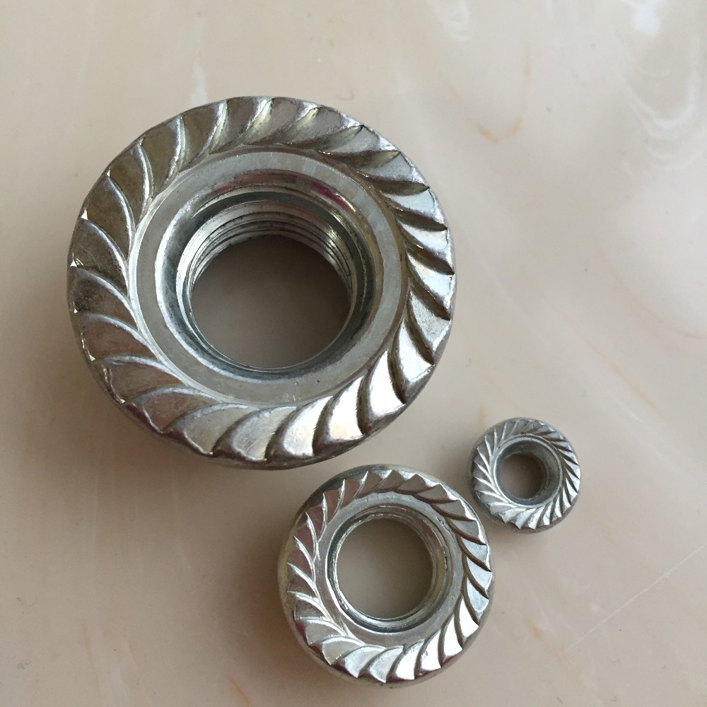 Avaiable Sample M20 M16 Din6923 Direct Fastener Carbon Stainless Steel Hex Flange Nut