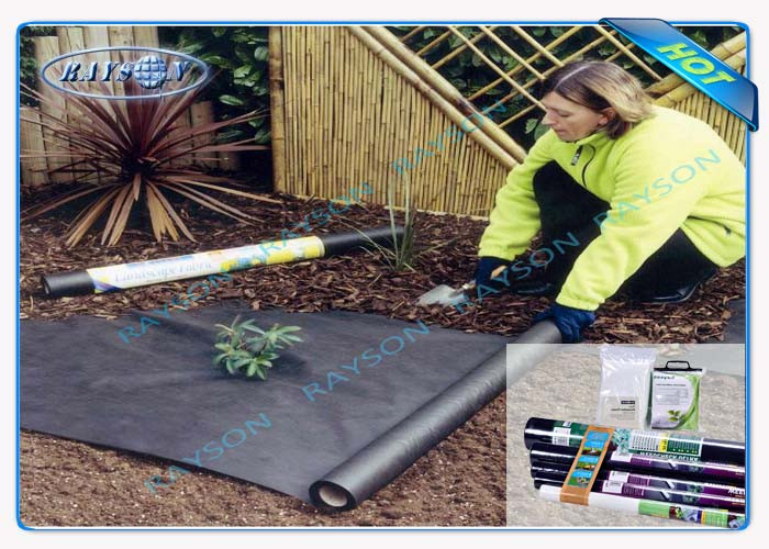 Anti UV Virgin Polypropylene Spunbond Non Woven Landscape Fabric Plant Covers