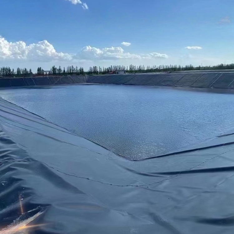 HDPE Geomembrane Fish Pond Liner 0.5mm 1mm 2mm for Modern Landfill Sites Design Style