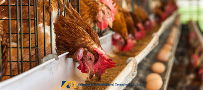 Fresh Non GMO Dried Fish Powder Easiness Decompose For Aquaculture Feed