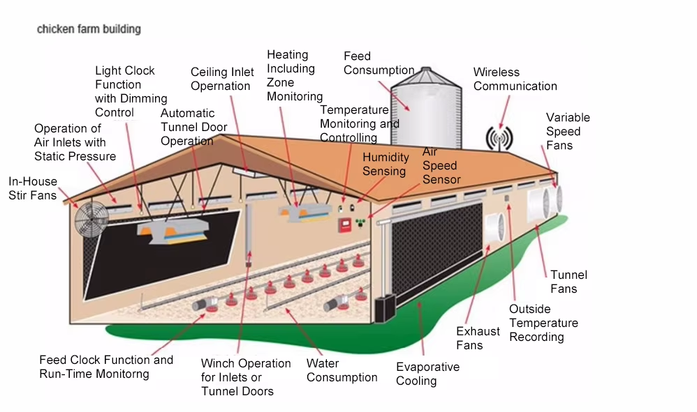 Safety Steel Structure Chicken House Lightweight Steel Frame Building