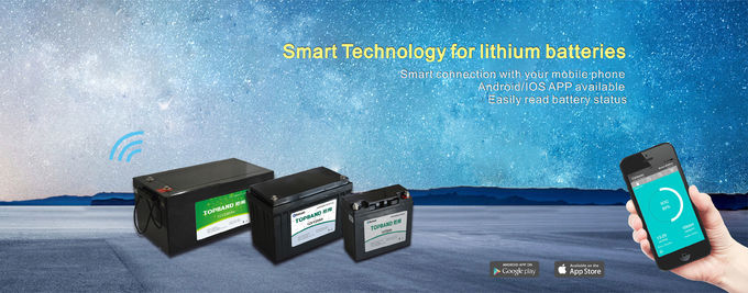  Golf-Cart-Lifepo4-Battery-12V-22Ah