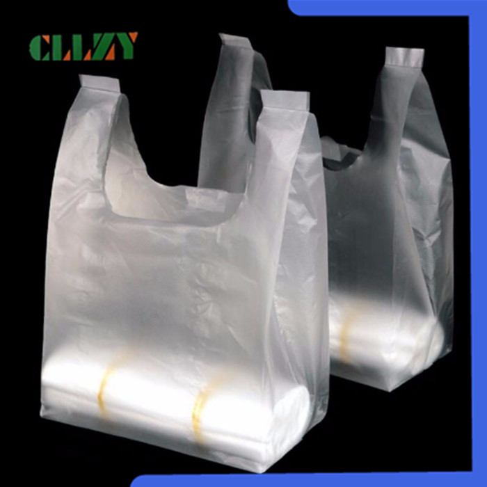 Clothing Packaging Biodegradable Shopping Bags Custom Logo Available