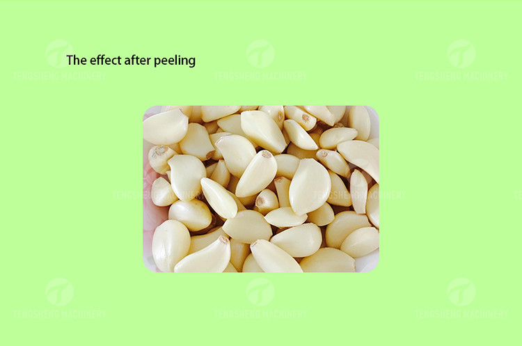 OEM Electric Garlic Processing Machine Skin Removing Equipment