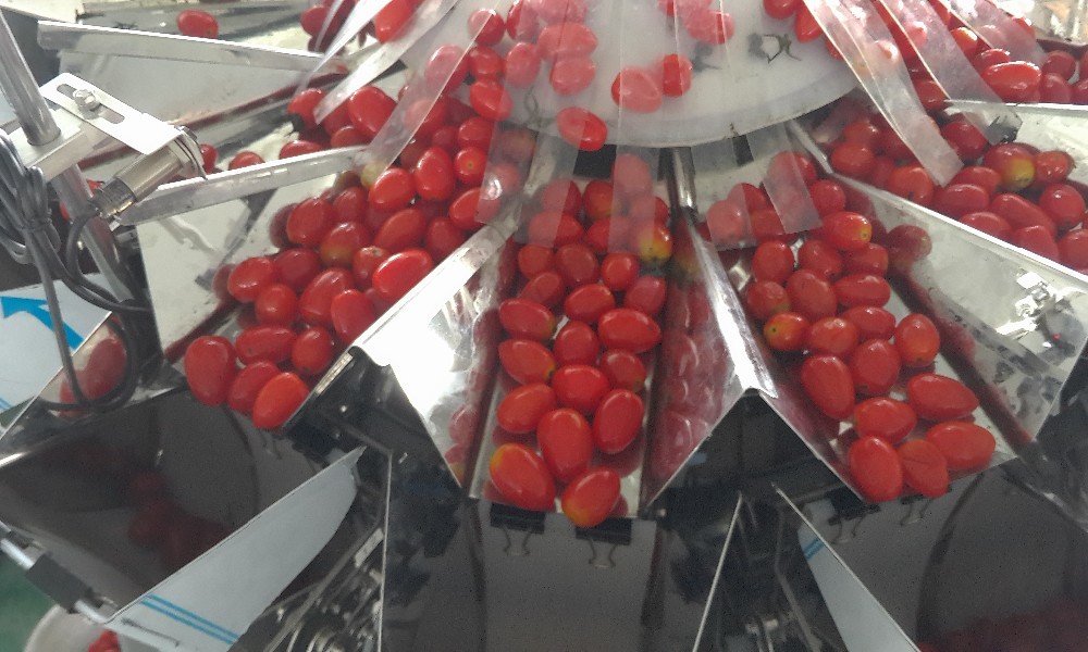 SS304 Plastic Box Packing Machine