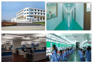 Golden Rex Group Ltd