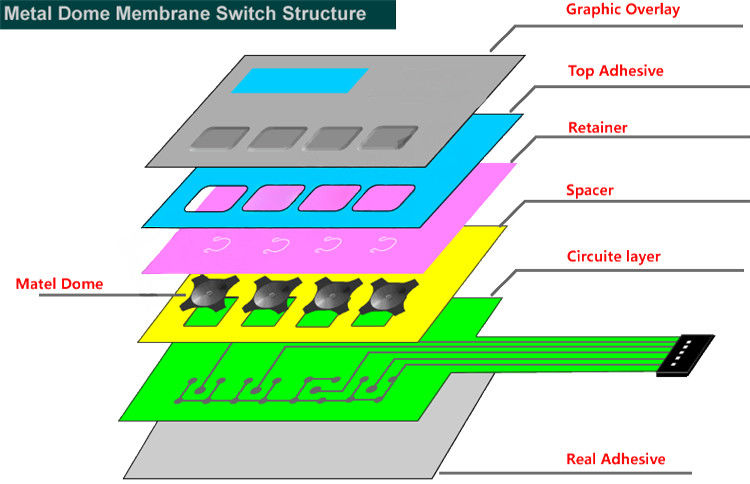 Printing 5 colors on the surface overlay / ZS-29 / flat metal dome membrane switch