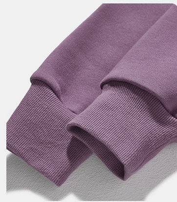 100% Cotton Plain Unisex Plain Hoodies Oversized Micro Performance Fleece Pullover Hoodie For Women