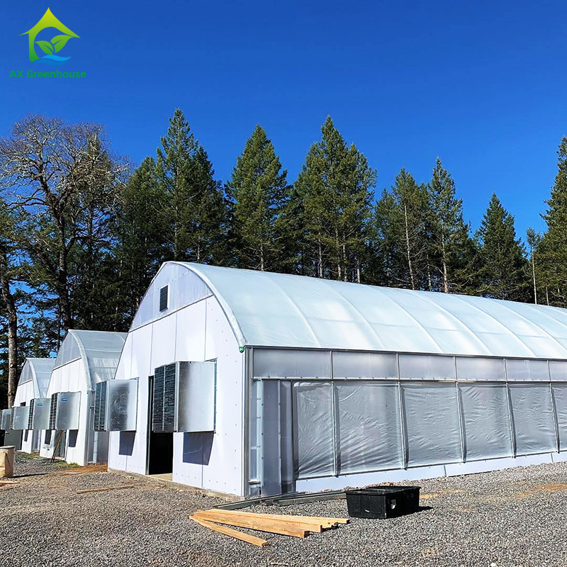 Auto Blackout Custom Fully Light Deprivation Agricultural Mushroom Greenhouse