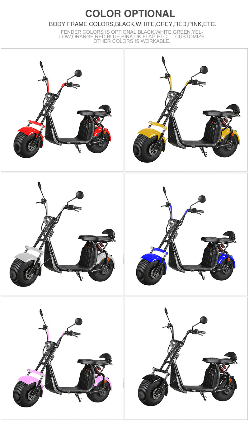Ecorider 2 Wheel Electric Scooter 1500w EEC City Coco LED Turn Light With Fat Tire