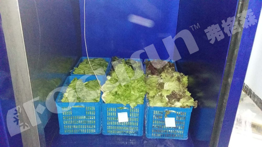 Bitzer Compressor Drives Focusun Vegetables Vacuum Cooler to Peak Performance