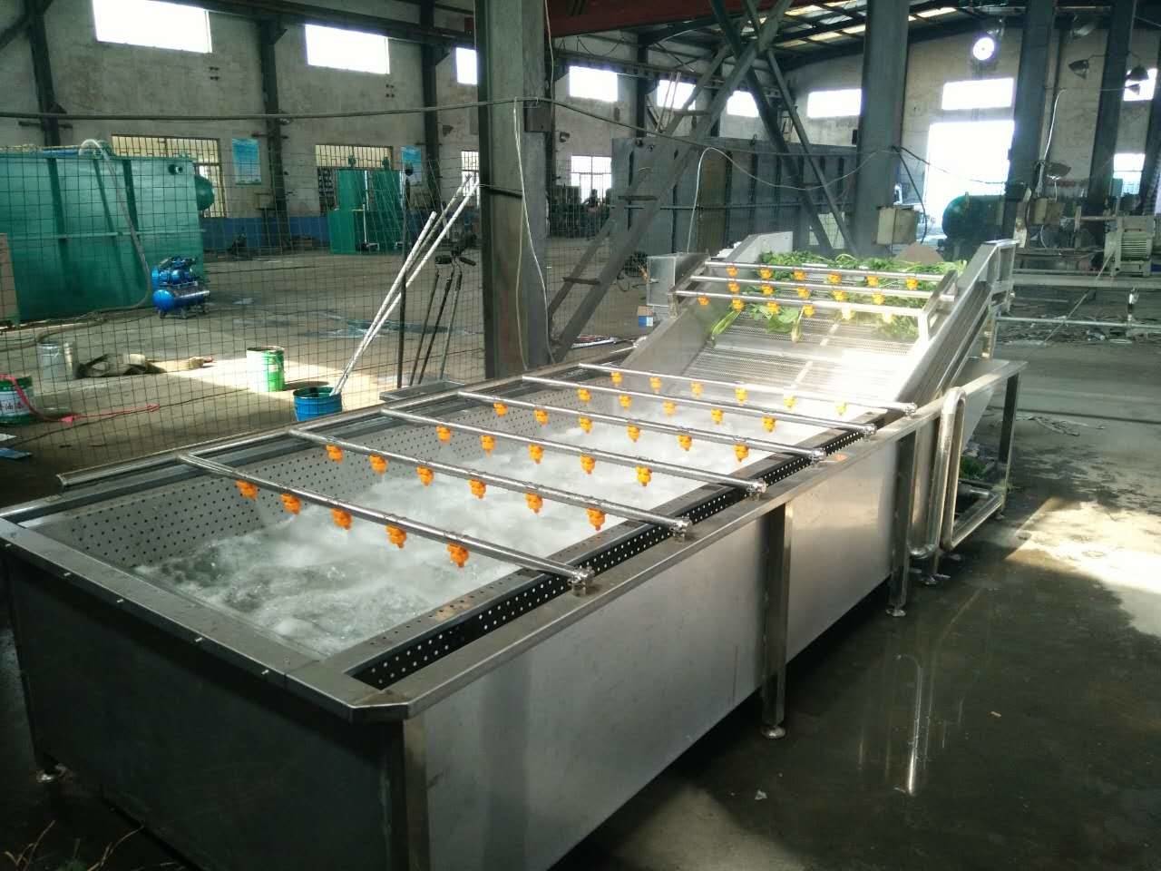 Custom Lettuce Fruit And Veg Cleaning Machine Washer 500-1000kg/hour