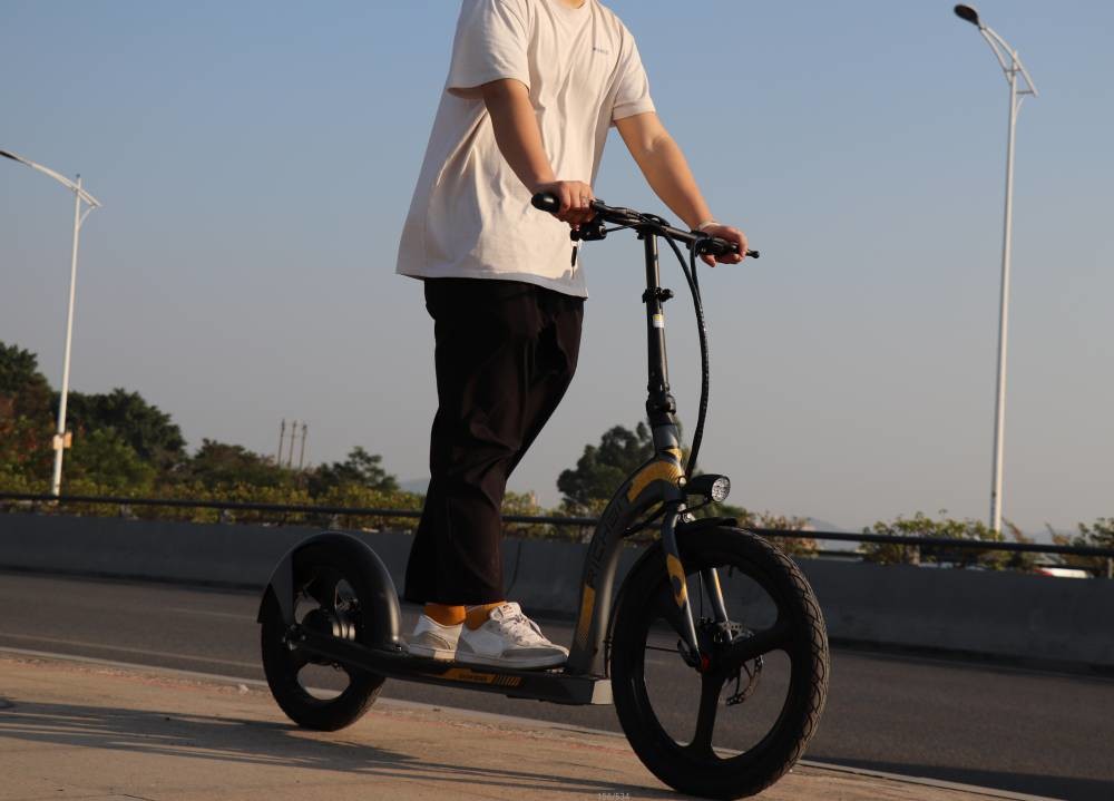 16 Inch Electric Scooter Cycle Adult Bike Front 20 Inch Rear Big Tyre 36v 10Ah
