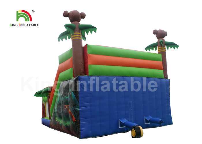 Cartoon Printing Kids Amusement Inflatable Jumping Castle With Double Lane