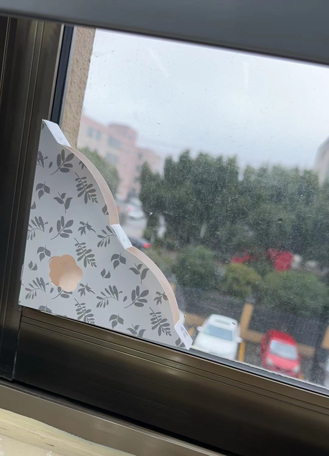 Eco-friendly Window Insect Trap and 2.0g Glue The Ultimate Beetle Control Solution