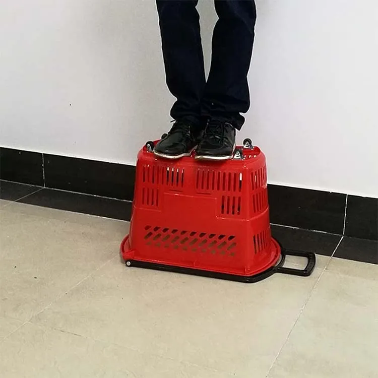 cesta de compras de frutas y verduras de gran capacidad Cesta de picnic para supermercado