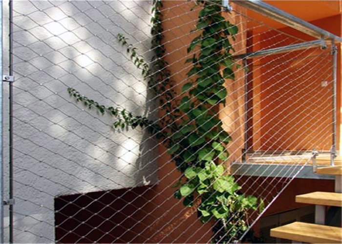 Trellis Climbing 304L Stainless Steel Rope Mesh Wtih Ferrule