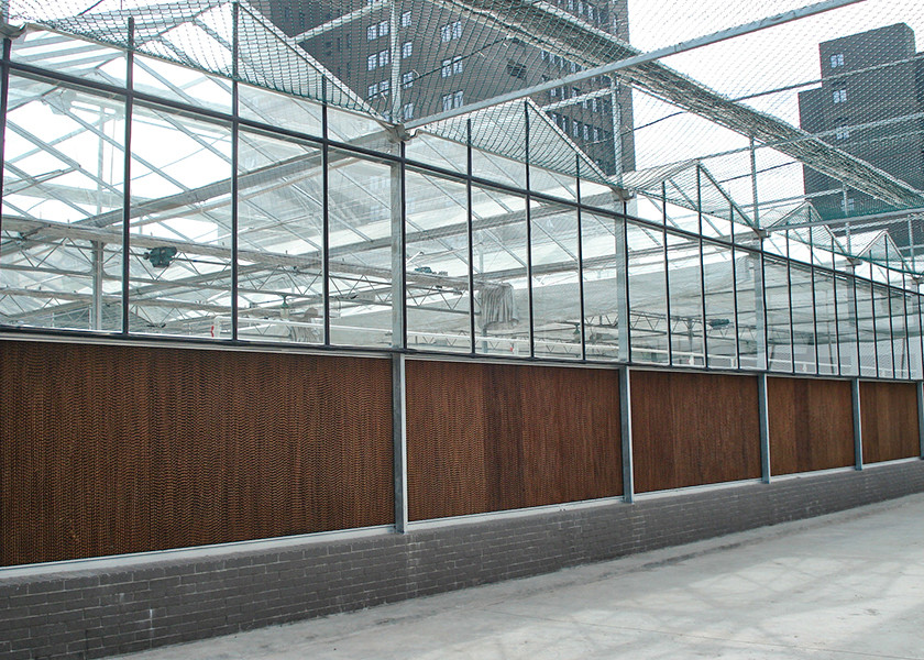 Heat & Cool Adjustable, Beautiful Good Looking VENLO Glass Greenhouses