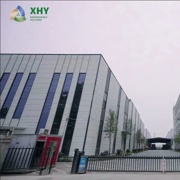 Food Grade Heat Insulation Cost-Effective Wood Pulp Paper Cup Fan for Sale