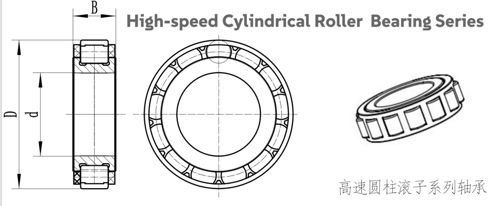 N15 15*24*5mm Super Precision High-speed Cylindrical Roller Bearings Without Outer Ring for Robot Reducers