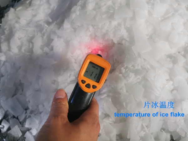 8000KG/24H Automatic Ice Storage System Flake Ice Making Machines Commercial Industry