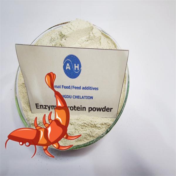 Acid Digestive 95% Crude Protein Amino Acid Feed Additives Powder For Fish