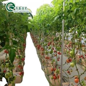 Buy cheap Grow Your Own Vegetables Fruits and Flowers with Our Commercial Greenhouse Philippines product