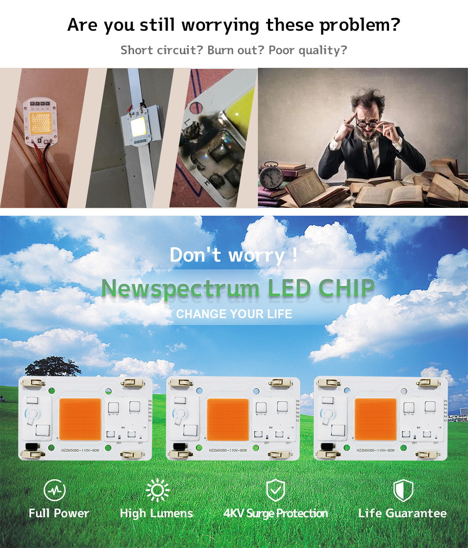 1mm Cob High Power Lamp