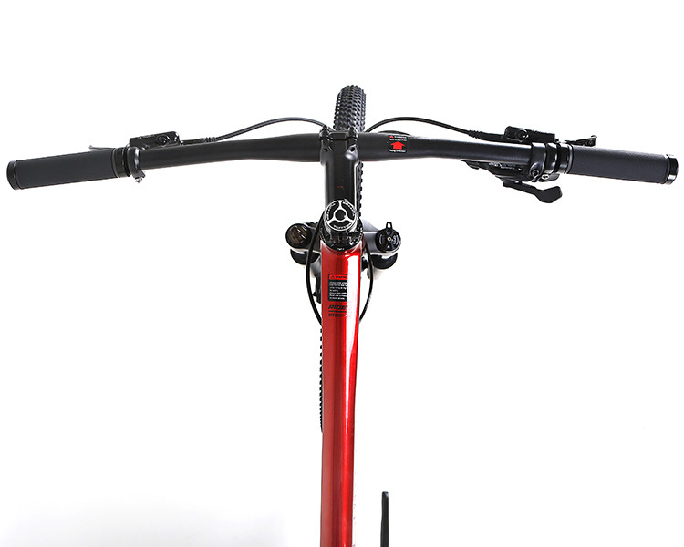 RIDER Aluminum Alloy Mountain Bike 29er 30S Speed Hydraulic Disc Brake