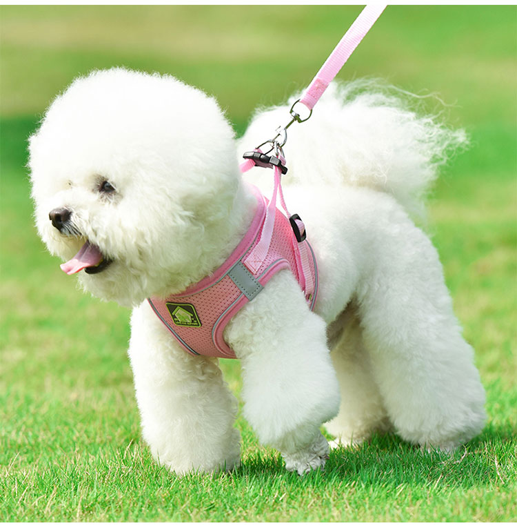 Amazon Top Seller 2021 Adjustable Padded Custom LOGO Pet Cat Dog Harness Collar Leash Reflective Dog Vest Leash