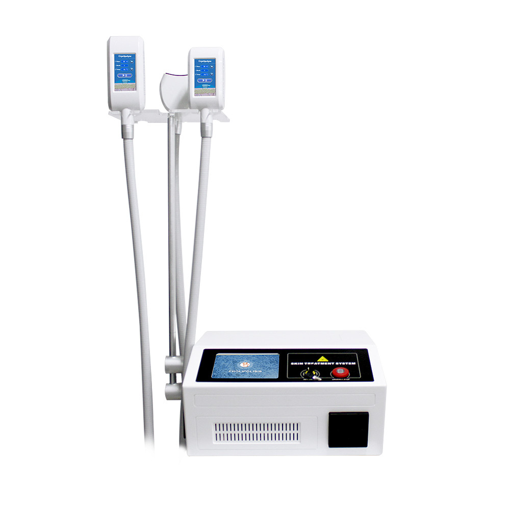 Best 360 Fat Freezing Cryolipolisis Slimming Machine For Salon Personal Care