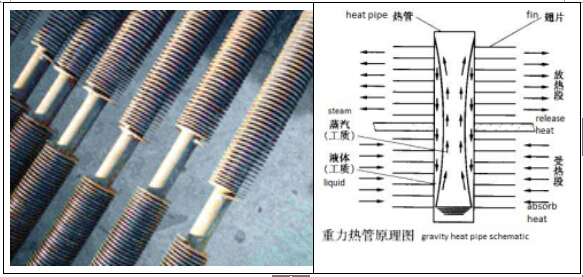 Boiler Flue Gas Waste Heat Recovery Exchanger