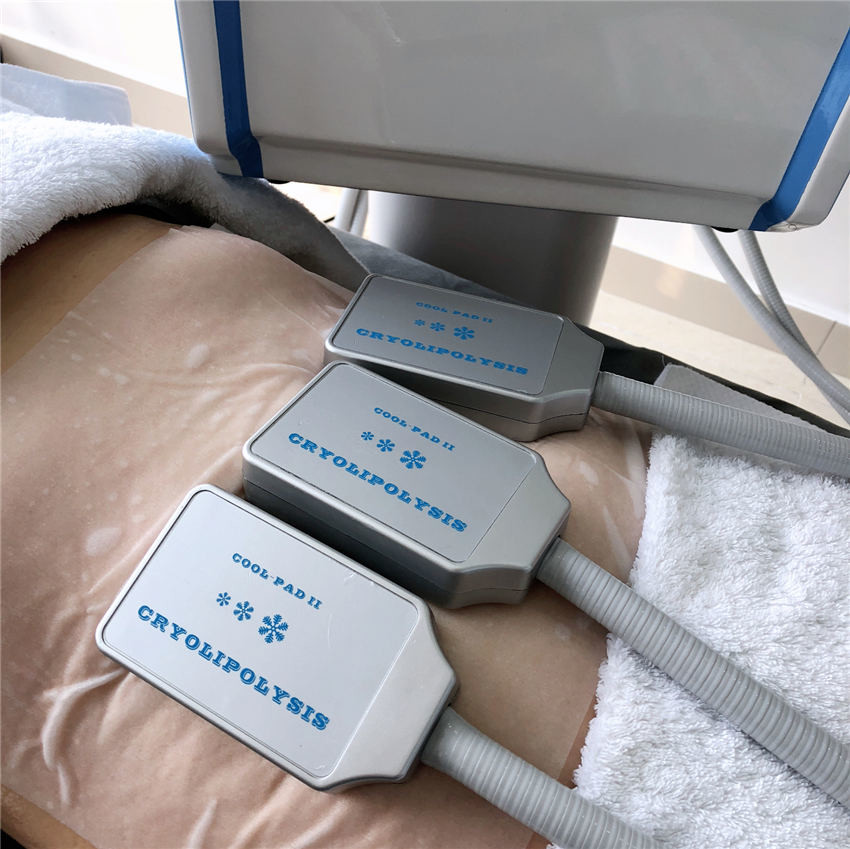Compact Size Cryolipolysis Fat Freezing Machine Human Engineering Design