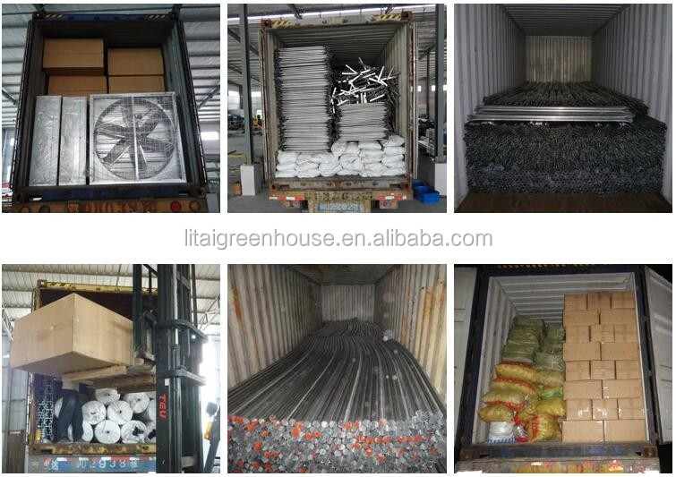 Large Transparent Plastic Film Multi-Span Greenhouse Grow Tent Transparent and Durable